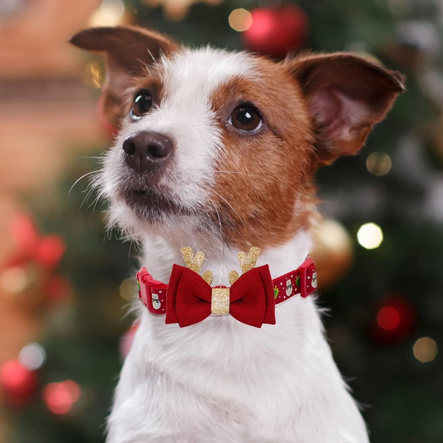 Festive Adjustable Christmas Dog Collar with Antler Bow Tie & Snowman Design for Medium Dogs